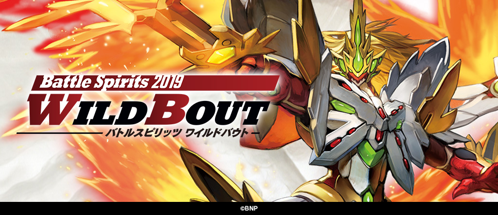 WILDBOUT2019開催決定!!